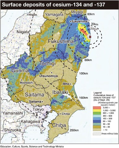 cesium_map