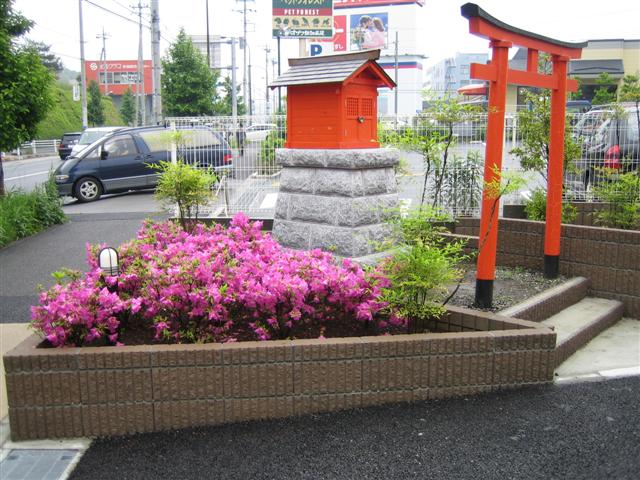 IMG_3119 (Small)