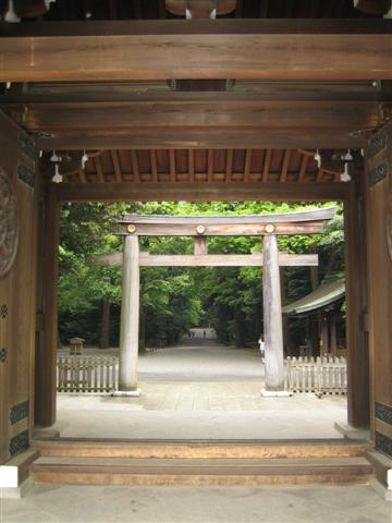 IMG_3136 (Small)