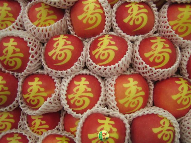 IMG_2979 (Small)
