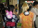 IMG_3365 (Small)