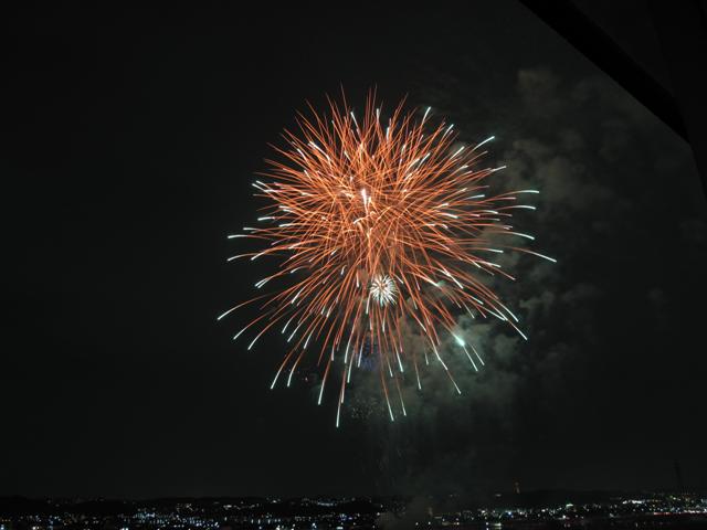 Tama 2009 (2) (Small)